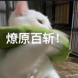 倒霉小歌星