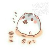 请叫我鸭君