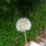 杨春旭