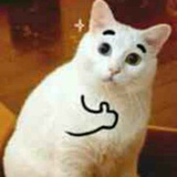 ( ˙-˙ )SPG