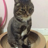 黃少諺