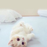 Jiang呐