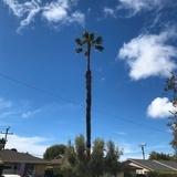 xtstc