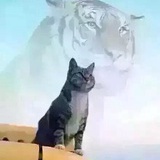 丢丢