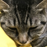 Jenny