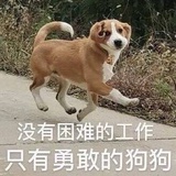藏的就是这么深
