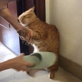 🌧️来哦