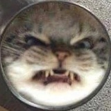 豆友132600192