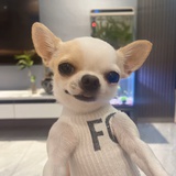 恭喜发财
