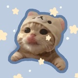 秋刀鱼u