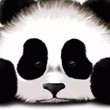 家有小豌豆