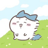 小八