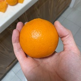世纪末的魔术师
