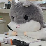全糖热烤奶
