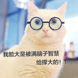 故事里的事