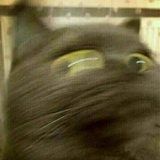 就还行