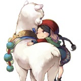 一朵太阳花