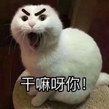 乱说说乱看看