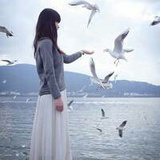 清小凉。
