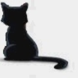 猫小巫