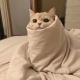 十月