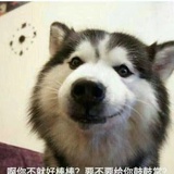 起名字很头疼