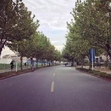 吃瓜挺好