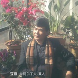 阿尔丁夫-翼人