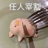 毛熊