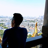 小白杨啊