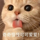 失落星河