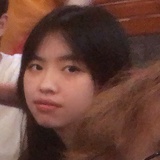 苍术