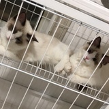 叫我节奏啦