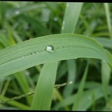 龍二2010