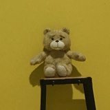 文文