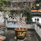 文