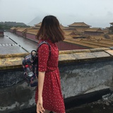 会
