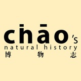chao's