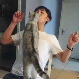樹