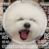 浪矢老爷爷