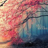 尘世.繁华