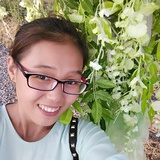 chenying