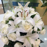 Vera草莓