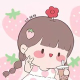 出走的绒布狗