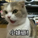 F没有刺的亲妈