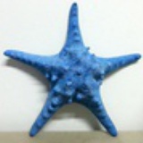 永不磨灭的蓝星
