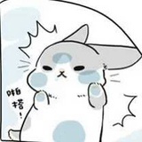 人类的好朋友Y也