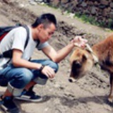 ཚེ་རིང་ཕྱུག_次