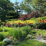 小红帽与大灰狼