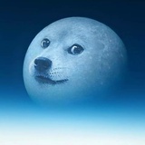 灵昭